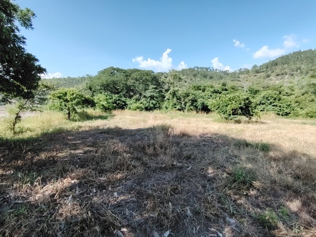 #T1 - Área para Venta en Santa Bárbara - Santa Bárbara