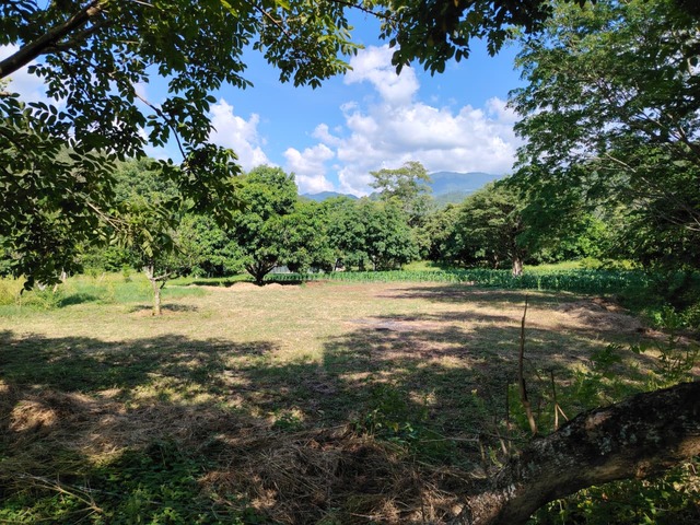 #T1 - Área para Venta en Santa Bárbara - Santa Bárbara