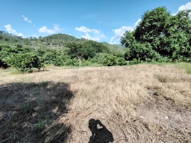 Área para Venta en Santa Bárbara - 4