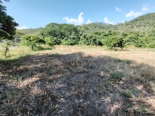 #T1 - Área para Venta en Santa Bárbara - Santa Bárbara