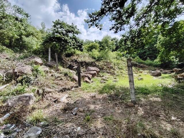 Área para Venta en Santa Bárbara - 4