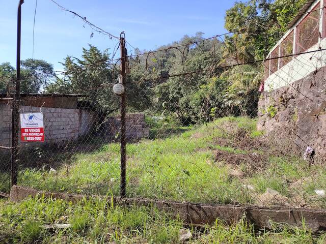 Área para Venta en Santa Bárbara - 4