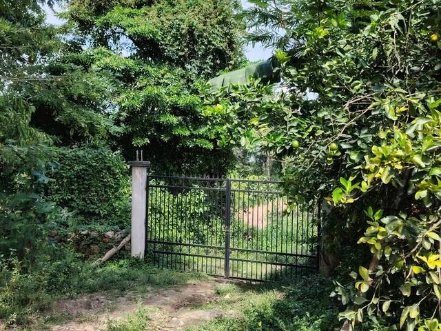 #TAradita5 - Área para Venta en Santa Bárbara - Santa Bárbara