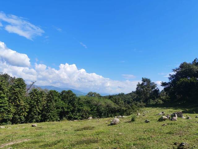 #TAradita5 - Área para Venta en Santa Bárbara - Santa Bárbara