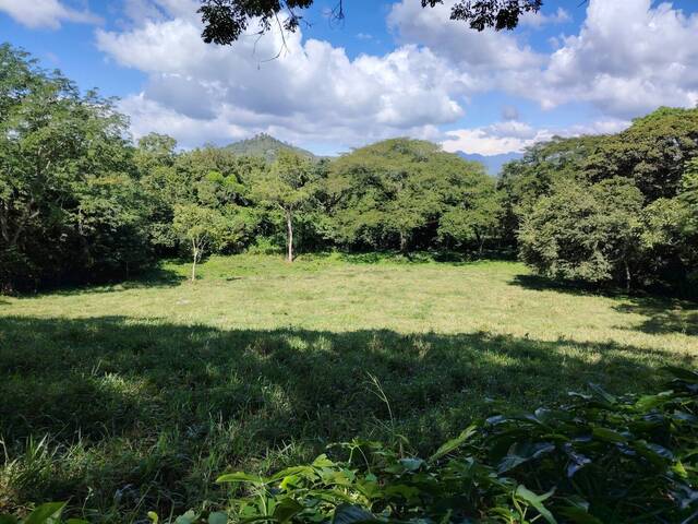 #TAradita5 - Área para Venta en Santa Bárbara - Santa Bárbara