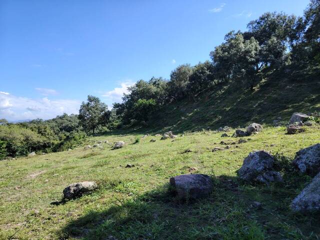 Área para Venta en Santa Bárbara - 5