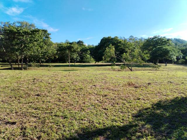 #SJR1 - Terreno en condominio para Venta en Santa Bárbara - Santa Bárbara